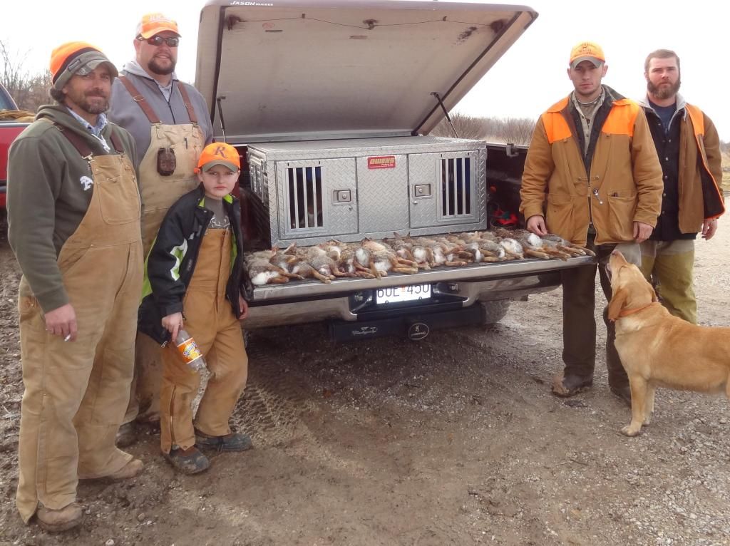 Last Missouri rabbit hunt of the season The American Beagler Forum